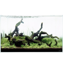 Dark Old Black Wood BOX 1KG