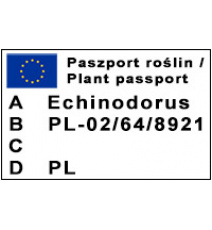Echinodorus Harbrich