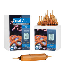 PRODIBIO Coral Vits PRO Suplement witaminowy 1 ampułka