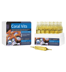 PRODIBIO Coral Vits Suplement witaminowy 1 ampułka