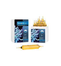 PRODIBIO Stronti+ PRO  Suplement strontu 1 ampułka