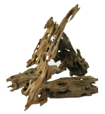 Progrow Dragon Wood 1kg
