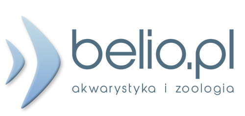 Belio.pl