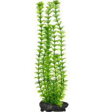 Tetra Decoart Plant L Ambulia Roślina sztuczna