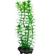 Tetra Decoart Plant S Anacharis Roślina sztuczna
