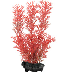 Tetra Decoart Plant S Foxtail Red Roślina sztuczna