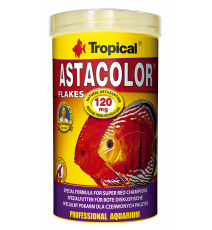 Tropical ASTACOLOR 100ML Wybarwiający pokarm dla paletek